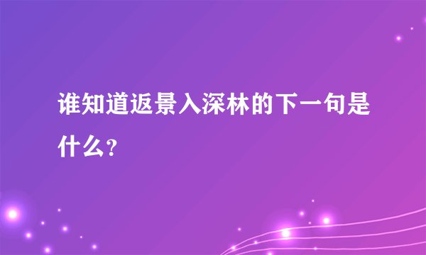 谁知道返景入深林的下一句是什么？