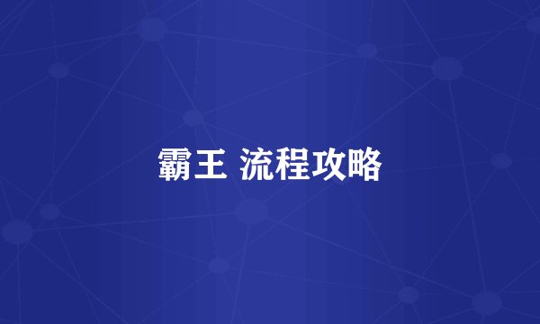 霸王 流程攻略
