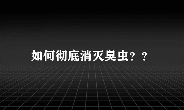 如何彻底消灭臭虫？？