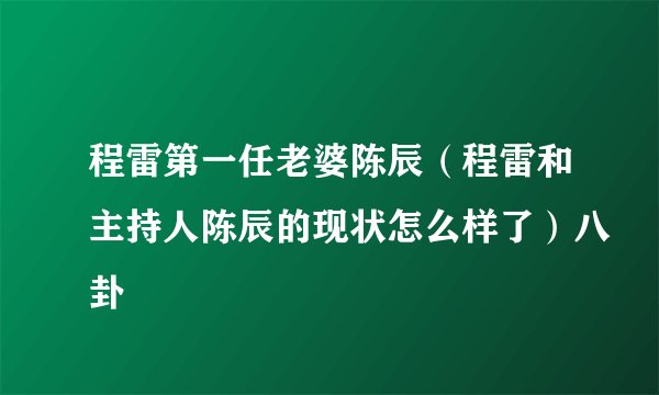 程雷第一任老婆陈辰（程雷和主持人陈辰的现状怎么样了）八卦