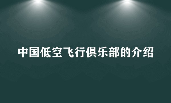 中国低空飞行俱乐部的介绍