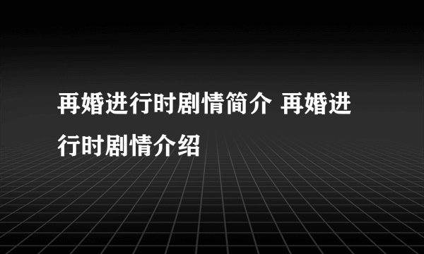 再婚进行时剧情简介 再婚进行时剧情介绍