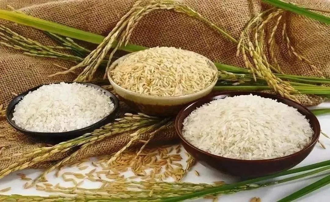 全球食品价格持续上涨，某些地方涨幅更是惊人，这意味着什么？