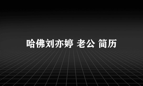 哈佛刘亦婷 老公 简历
