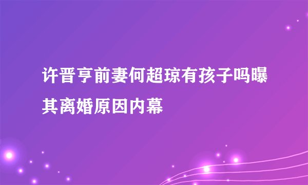 许晋亨前妻何超琼有孩子吗曝其离婚原因内幕