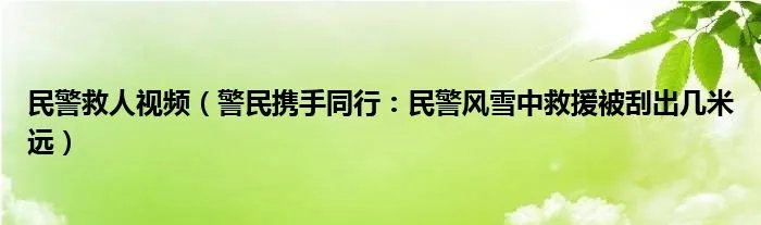 民警救人视频（警民携手同行：民警风雪中救援被刮出几米远）