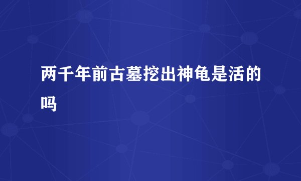 两千年前古墓挖出神龟是活的吗