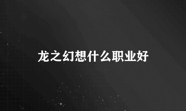 龙之幻想什么职业好
