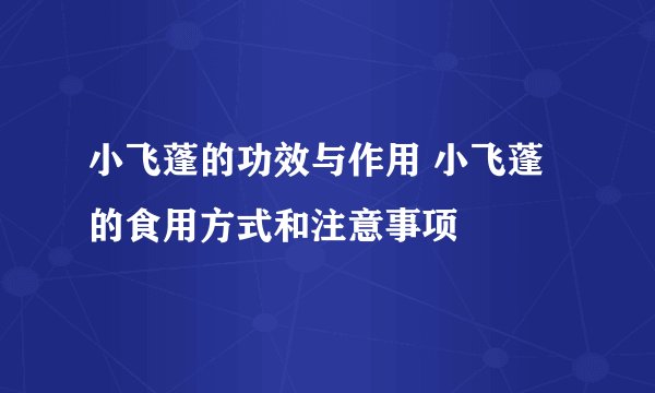 小飞蓬的功效与作用 小飞蓬的食用方式和注意事项