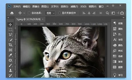 ps绿色版