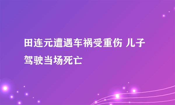 田连元遭遇车祸受重伤 儿子驾驶当场死亡