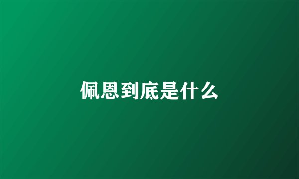 佩恩到底是什么