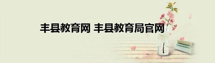 丰县教育网 丰县教育局官网