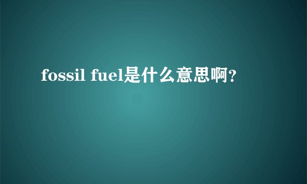 fossil fuel是什么意思啊？