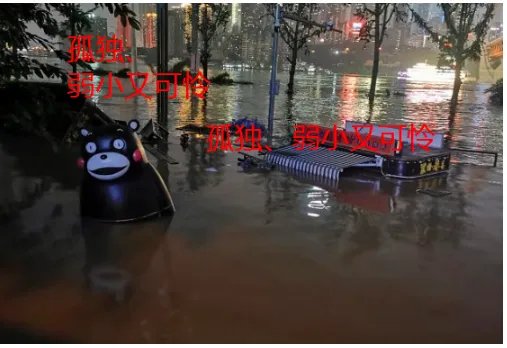 重庆还有一只熊本熊在漂流,哪来的?