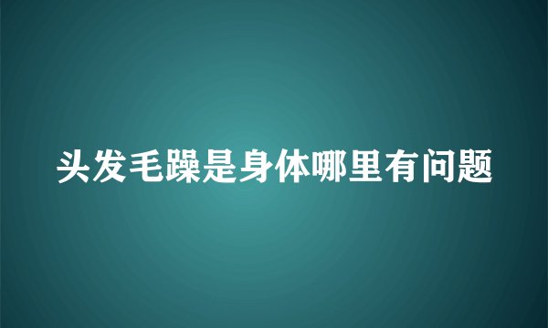 头发毛躁是身体哪里有问题