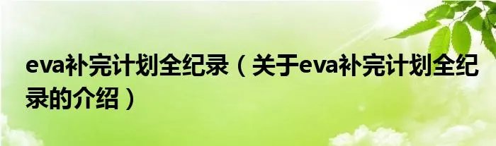 eva补完计划全纪录（关于eva补完计划全纪录的介绍）