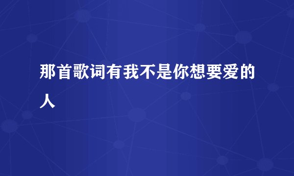 那首歌词有我不是你想要爱的人