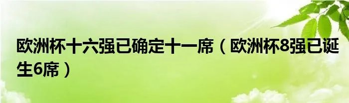 欧洲杯十六强已确定十一席（欧洲杯8强已诞生6席）