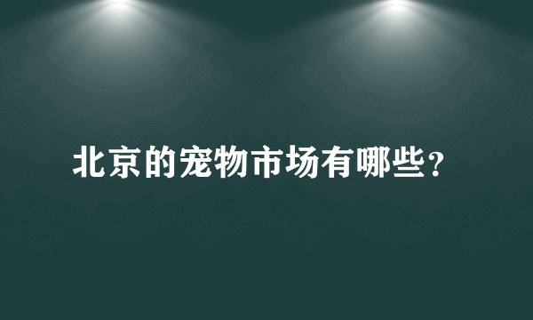 北京的宠物市场有哪些？
