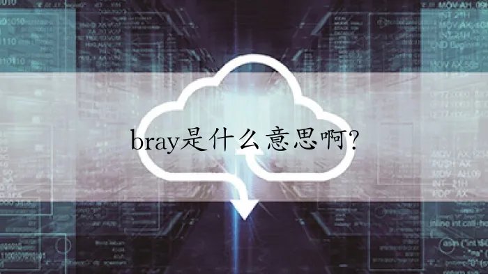 bray是什么意思啊?
