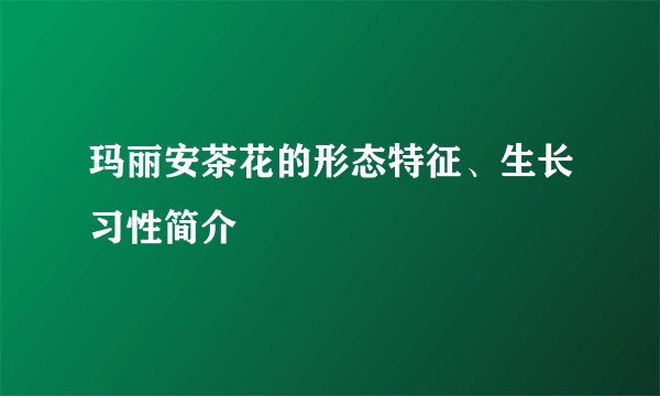 玛丽安茶花的形态特征、生长习性简介