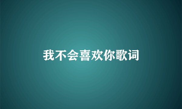 我不会喜欢你歌词