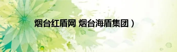 烟台红盾网 烟台海盾集团）