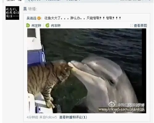 做好微博营销活动前期的8项准备工作