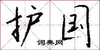 护国