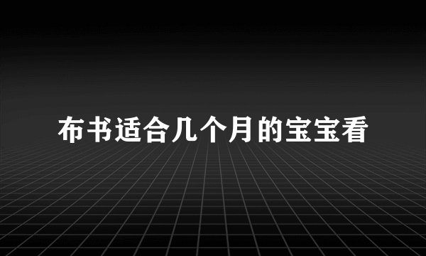 布书适合几个月的宝宝看