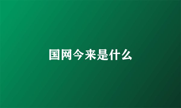 国网今来是什么