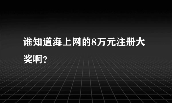 谁知道海上网的8万元注册大奖啊？