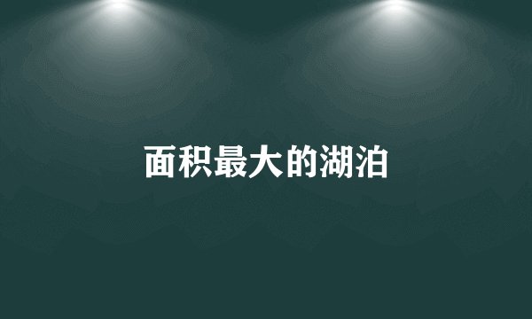 面积最大的湖泊