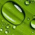 巨人网络申请停牌什么情况？