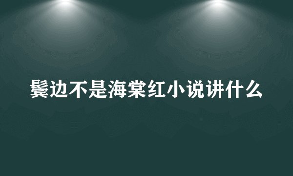 鬓边不是海棠红小说讲什么