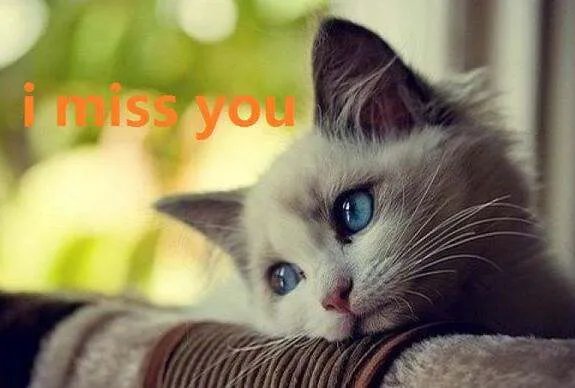 I miss you.翻译成中文是什么意思?