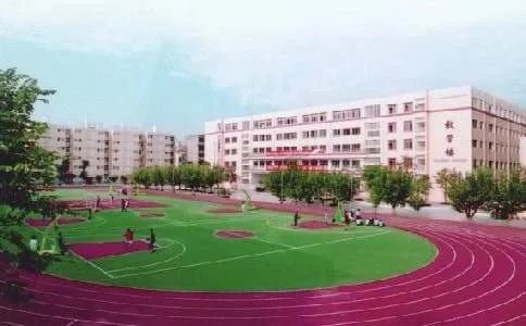校园新闻作文
