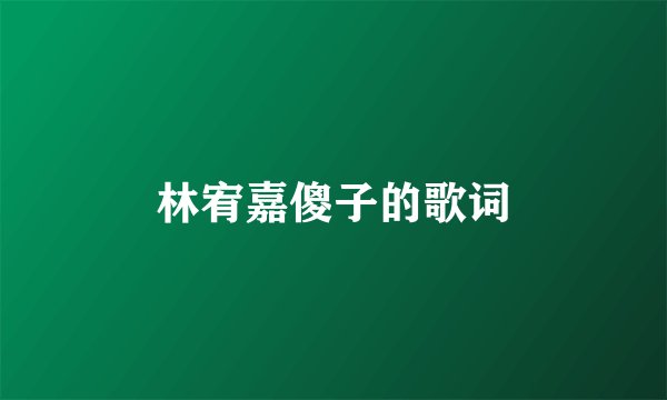 林宥嘉傻子的歌词