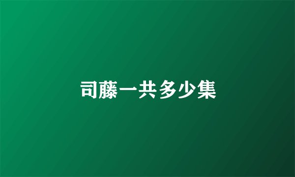 司藤一共多少集
