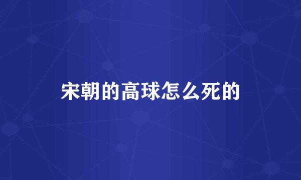 宋朝的高球怎么死的