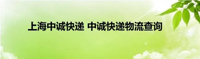 上海中诚快递 中诚快递物流查询