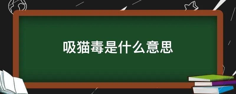 吸猫毒是什么意思