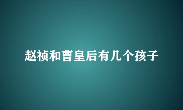 赵祯和曹皇后有几个孩子