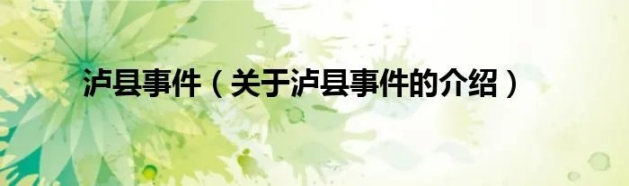 泸县事件（关于泸县事件的介绍）