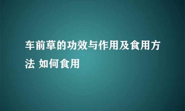 车前草的功效与作用及食用方法 如何食用