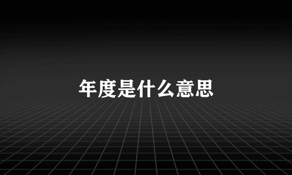 年度是什么意思