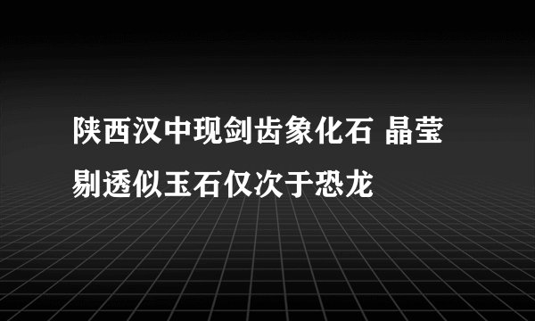 陕西汉中现剑齿象化石 晶莹剔透似玉石仅次于恐龙