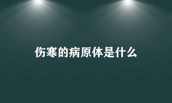 伤寒的病原体是什么