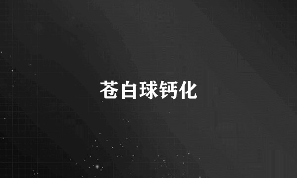 苍白球钙化